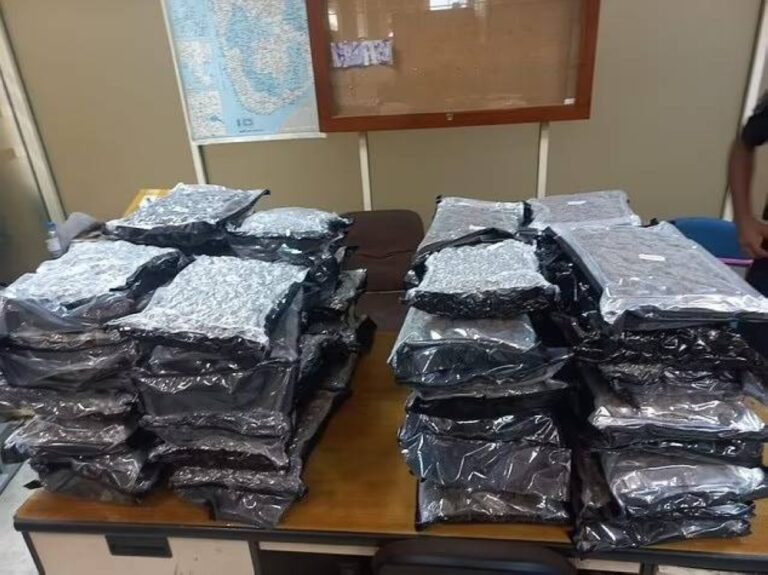 %d9%83%d9%8a%d9%81 %d9%86%d8%ac%d8%aa %d8%a8%d8%b1%d9%8a%d8%b7%d8%a7%d9%86%d9%8a%d8%a9 %d9%85%d9%86 %d8%a7%d9%84%d8%b3%d8%ac%d9%86 %d8%b1%d8%ba%d9%85 %d8%aa%d9%87%d8%b1%d9%8a%d8%a8 22 %d9%83%d9%8a