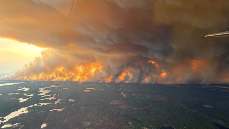 %d8%ad%d8%b1%d8%a7%d8%a6%d9%82 %d8%a7%d9%84%d8%ba%d8%a7%d8%a8%d8%a7%d8%aa %d8%aa%d9%81%d8%b1%d8%b6 %d8%a7%d9%84%d8%b7%d9%88%d8%a7%d8%b1%d8%a6 %d8%a8%d9%85%d9%82%d8%a7%d8%b7%d8%b9%d8%a9 %d9%83%d9%86