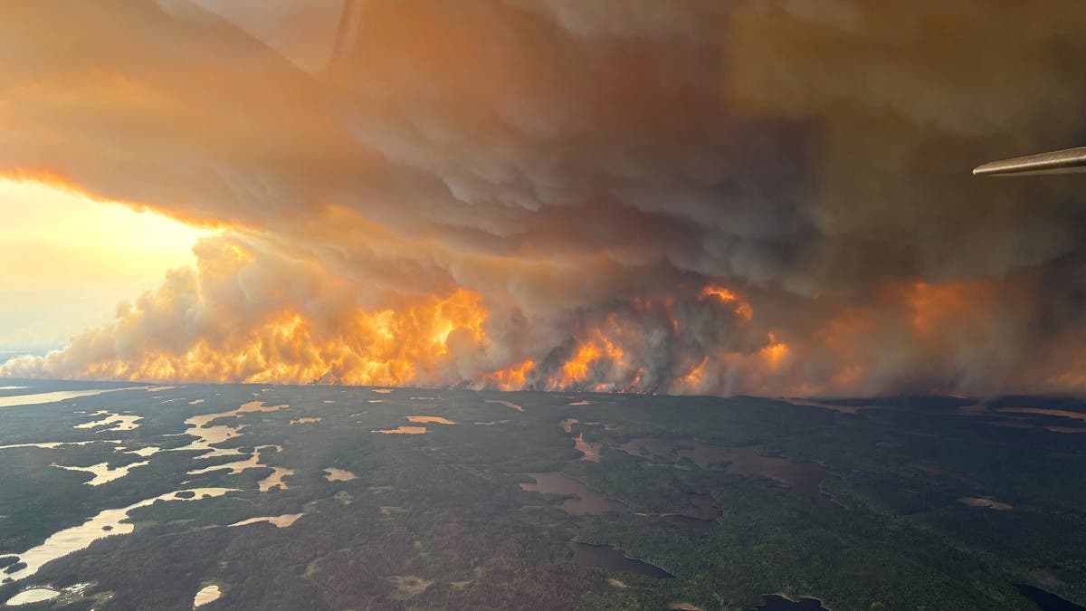 %d8%ad%d8%b1%d8%a7%d8%a6%d9%82 %d8%a7%d9%84%d8%ba%d8%a7%d8%a8%d8%a7%d8%aa %d8%aa%d9%81%d8%b1%d8%b6 %d8%a7%d9%84%d8%b7%d9%88%d8%a7%d8%b1%d8%a6 %d8%a8%d9%85%d9%82%d8%a7%d8%b7%d8%b9%d8%a9 %d9%83%d9%86