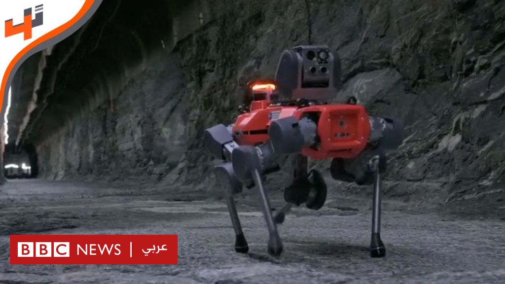 %d8%b1%d9%88%d8%a8%d9%88%d8%aa%d8%a7%d8%aa %d9%84%d8%ad%d9%85%d8%a7%d9%8a%d8%a9 %d8%a7%d9%84%d8%b9%d8%a7%d9%85%d9%84%d9%8a%d9%86 %d9%81%d9%8a %d8%a7%d9%84%d9%85%d9%88%d8%a7%d9%82%d8%b9 %d8%a7%d9%84