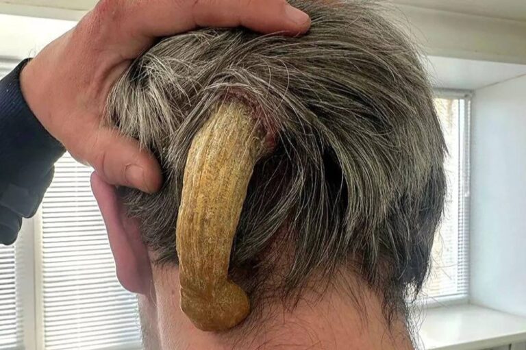 %d9%82%d8%b1%d9%86 %d8%a7%d9%84%d8%b4%d9%8a%d8%b7%d8%a7%d9%86 %d9%81%d9%8a %d8%b1%d8%a3%d8%b3 %d8%b1%d8%ac%d9%84 %d9%84%d8%ab%d9%84%d8%a7%d8%ab %d8%b3%d9%86%d9%88%d8%a7%d8%aa