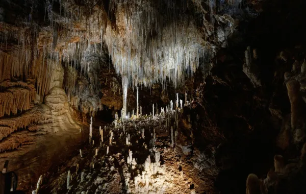 %d8%a7%d9%83%d8%aa%d8%b4%d8%a7%d9%81 %d8%b4%d8%a8%d9%83%d8%a9 %d9%83%d9%87%d9%88%d9%81 %d8%b9%d9%85%d9%84%d8%a7%d9%82%d8%a9 %d8%aa%d8%ad%d8%aa %d8%ba%d8%a7%d8%a8%d8%a9 %d8%a8%d8%b1%d9%8a%d8%b7%d8%a7