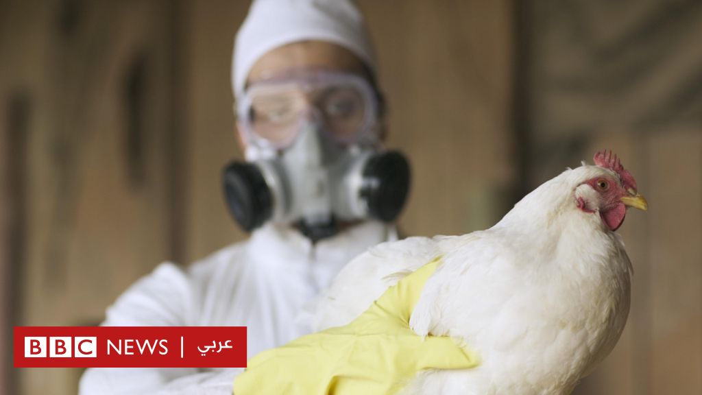 %d8%a5%d9%86%d9%81%d9%84%d9%88%d9%86%d8%b2%d8%a7 %d8%a7%d9%84%d8%b7%d9%8a%d9%88%d8%b1 %d9%84%d9%85%d8%a7%d8%b0%d8%a7 %d9%8a%d8%b3%d8%aa%d8%b9%d8%af %d8%a7%d9%84%d8%b9%d9%84%d9%85%d8%a7%d8%a1 %d9%84