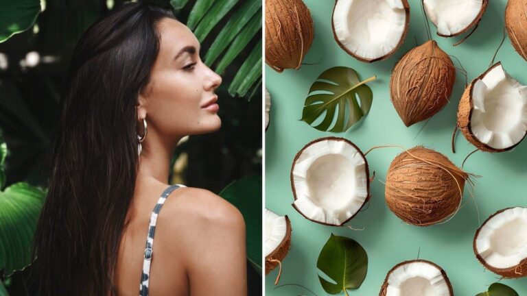 %d8%b2%d9%8a%d8%aa %d8%ac%d9%88%d8%b2 %d8%a7%d9%84%d9%87%d9%86%d8%af %d9%84%d9%84%d8%b4%d8%b9%d8%b1 %d9%81%d9%88%d8%a7%d8%a6%d8%af %d8%ac%d9%85%d8%a9 %d9%84%d9%83%d9%86 %d8%a8%d8%b4%d8%b1%d9%88