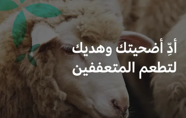 %d8%a8%d8%af%d8%a1 %d8%a7%d8%b3%d8%aa%d9%82%d8%a8%d8%a7%d9%84 %d8%b7%d9%84%d8%a8%d8%a7%d8%aa %d8%a7%d9%84%d8%a3%d8%b6%d8%a7%d8%ad%d9%8a %d9%81%d9%8a %d8%a7%d9%84%d8%b3%d8%b9%d9%88%d8%af%d9%8a%d8%a9