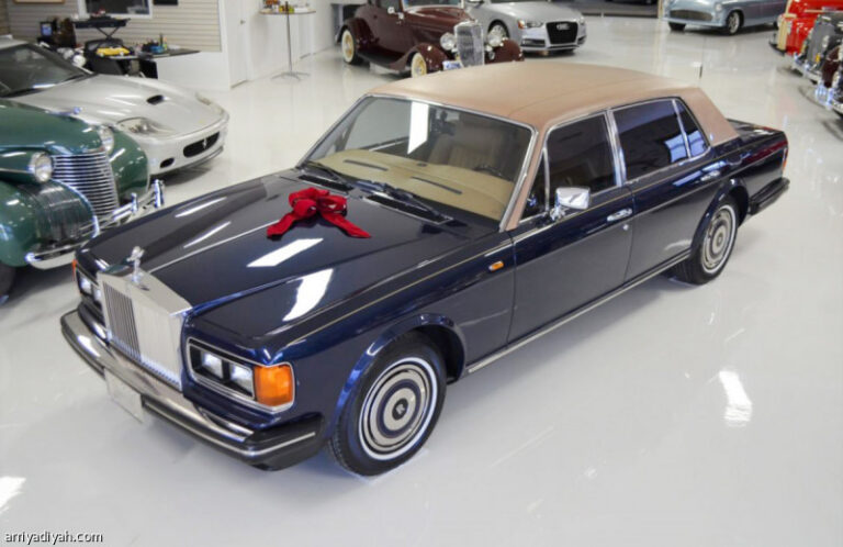 %d8%b4%d8%b1%d9%83%d8%a9 %d8%ba%d8%a7%d9%85%d8%b6%d8%a9 %d8%aa%d9%85%d9%86%d8%ad %d8%b9%d9%85%d9%84%d8%a7%d8%a1%d9%87%d8%a7 %d8%b1%d9%88%d9%84%d8%b2 %d8%b1%d9%88%d9%8a%d8%b3