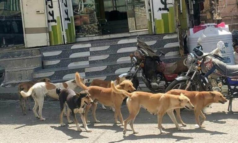 %d9%85%d8%af%d9%8a%d9%86%d8%a9 %d8%b9%d8%b1%d8%a7%d9%82%d9%8a%d8%a9 %d8%aa%d8%b3%d8%ac%d9%84 %d8%b1%d9%82%d9%85%d8%a7 %d9%82%d9%8a%d8%a7%d8%b3%d9%8a%d8%a7 %d9%84%d8%b6%d8%ad%d8%a7%d9%8a%d8%a7 %d8%a7