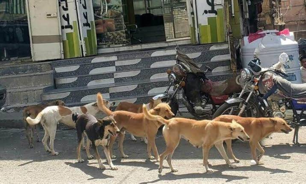 %d9%85%d8%af%d9%8a%d9%86%d8%a9 %d8%b9%d8%b1%d8%a7%d9%82%d9%8a%d8%a9 %d8%aa%d8%b3%d8%ac%d9%84 %d8%b1%d9%82%d9%85%d8%a7 %d9%82%d9%8a%d8%a7%d8%b3%d9%8a%d8%a7 %d9%84%d8%b6%d8%ad%d8%a7%d9%8a%d8%a7 %d8%a7