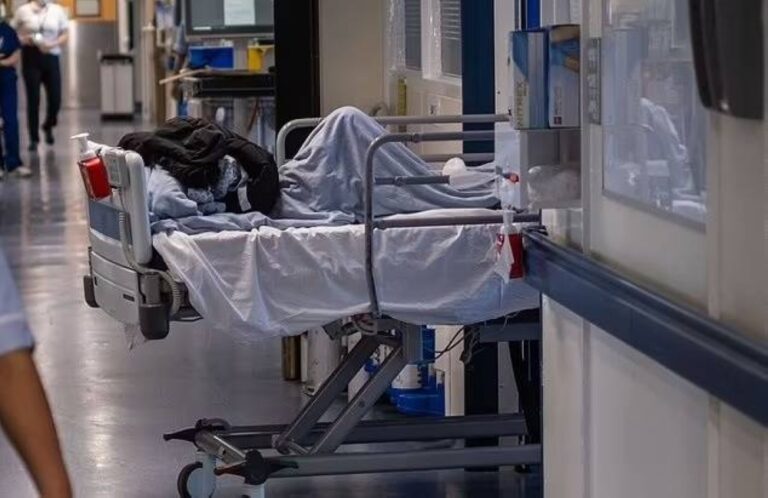 %d8%b9%d8%af%d9%88%d9%89 %d9%82%d8%a7%d8%aa%d9%84%d8%a9 %d8%aa%d9%87%d8%af%d8%af %d8%a7%d9%84%d9%85%d8%b3%d8%aa%d8%b4%d9%81%d9%8a%d8%a7%d8%aa %d8%a7%d9%84%d8%a8%d8%b1%d9%8a%d8%b7%d8%a7%d9%86%d9%8a