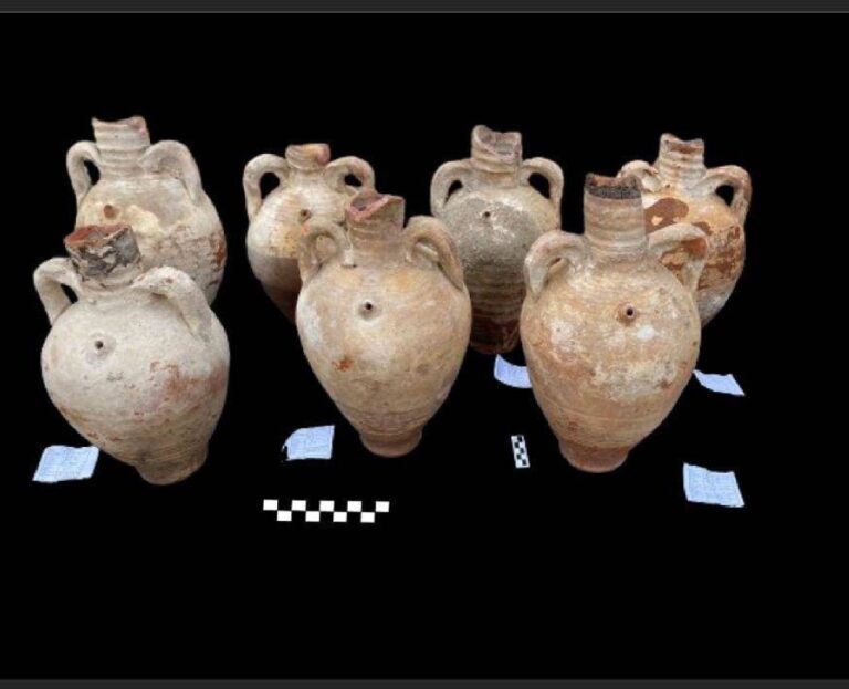 %d8%b9%d9%8a%d9%88%d9%86 %d8%a7%d9%84%d8%ad%d9%83%d9%85%d8%a9 %d8%a7%d9%84%d9%82%d8%a8%d8%b7%d9%8a%d8%a9 %d8%a7%d9%84%d8%b9%d8%ab%d9%88%d8%b1 %d8%b9%d9%84%d9%89 %d9%83%d8%b4%d9%81 %d8%a3%d8%ab%d8%b1