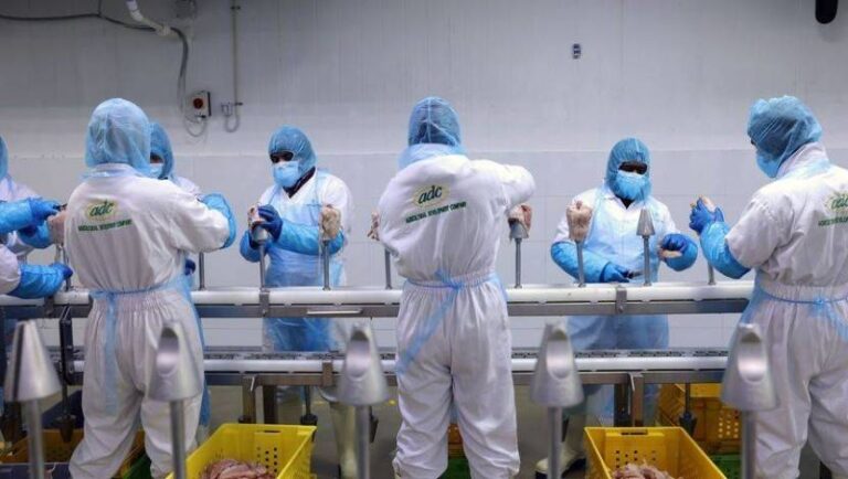 %d9%85%d8%b3%d8%a7%d8%b9 %d9%84%d8%a7%d8%b3%d8%aa%d9%82%d8%b7%d8%a7%d8%a8 %d8%b4%d8%b1%d9%83%d8%a7%d8%aa %d8%a8%d8%b1%d8%a7%d8%b2%d9%8a%d9%84%d9%8a%d8%a9 %d8%ba%d8%b0%d8%a7%d8%a6%d9%8a%d8%a9 %d9%84