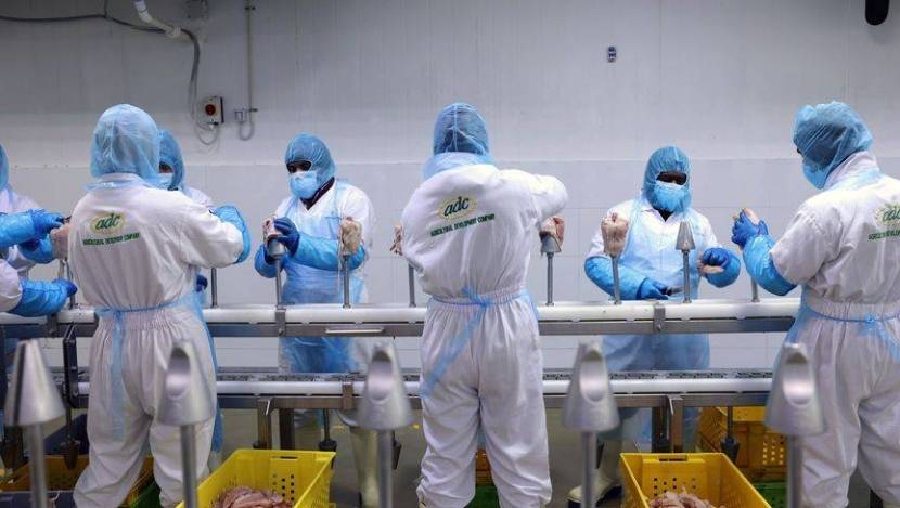 %d9%85%d8%b3%d8%a7%d8%b9 %d9%84%d8%a7%d8%b3%d8%aa%d9%82%d8%b7%d8%a7%d8%a8 %d8%b4%d8%b1%d9%83%d8%a7%d8%aa %d8%a8%d8%b1%d8%a7%d8%b2%d9%8a%d9%84%d9%8a%d8%a9 %d8%ba%d8%b0%d8%a7%d8%a6%d9%8a%d8%a9 %d9%84