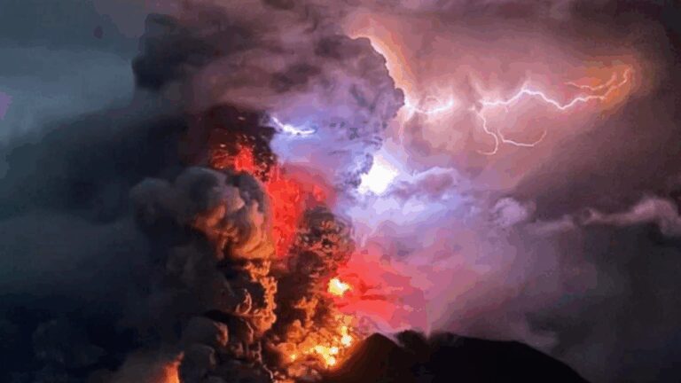 %d8%a7%d9%84%d8%b9%d9%84%d9%85 %d9%8a%d8%a4%d9%83%d8%af %d8%a3%d9%88%d8%b1%d8%a7%d9%82 %d8%a7%d9%84%d8%b4%d8%ac%d8%b1 %d8%aa%d8%aa%d9%86%d8%a8%d8%a3 %d8%a8%d8%ab%d9%88%d8%b1%d8%a7%d9%86 %d8%a7%d9%84