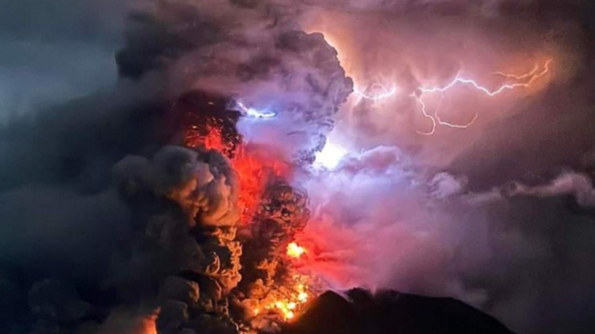 %d8%a7%d9%84%d8%b9%d9%84%d9%85 %d9%8a%d8%a4%d9%83%d8%af %d8%a3%d9%88%d8%b1%d8%a7%d9%82 %d8%a7%d9%84%d8%b4%d8%ac%d8%b1 %d8%aa%d8%aa%d9%86%d8%a8%d8%a3 %d8%a8%d8%ab%d9%88%d8%b1%d8%a7%d9%86 %d8%a7%d9%84