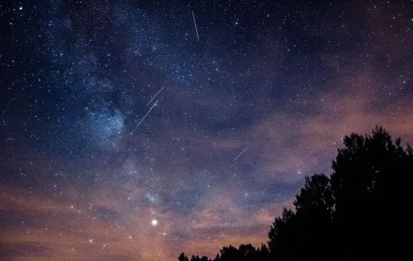 %d9%81%d9%84%d9%83%d9%8a%d8%a9 %d8%ac%d8%af%d8%a9 %d8%a7%d8%b5%d8%b7%d9%81%d8%a7%d9%81 %d9%84%d9%84%d9%82%d9%85%d8%b1 %d9%88%d8%a7%d9%84%d8%b2%d9%87%d8%b1%d8%a9 %d9%88%d8%b2%d9%8f%d8%ad%d9%84 %d9%81