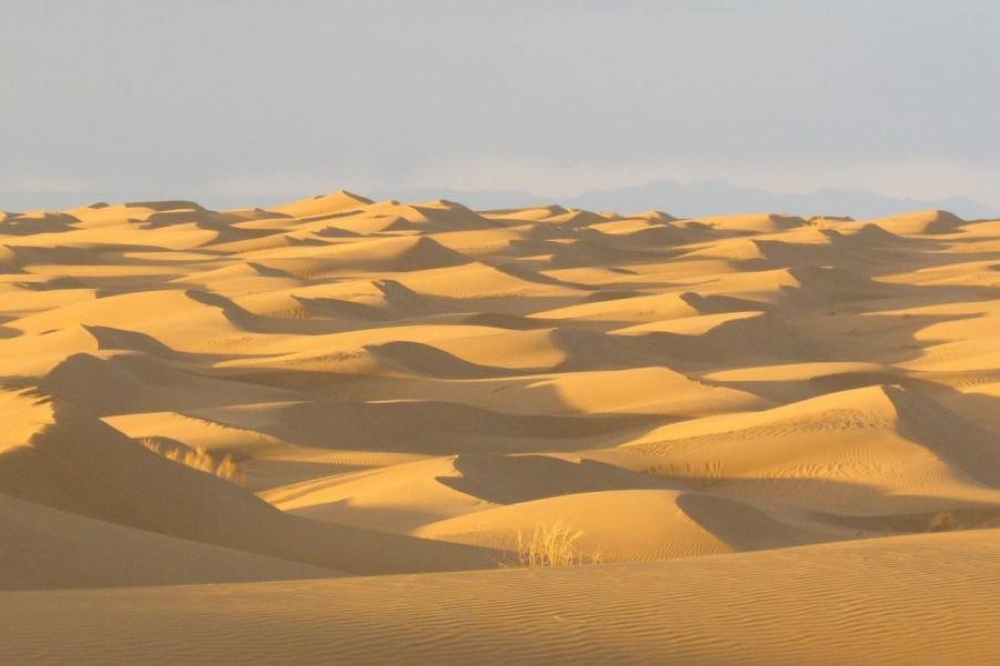 %d9%85%d8%b5%d8%b1 %d9%88%d9%81%d8%a7%d8%a9 5 %d8%b4%d8%a8%d8%a7%d9%86 %d9%87%d9%84%d9%83%d8%a7 %d8%a8%d8%a7%d9%84%d8%b9%d8%b7%d8%b4 %d8%a3%d8%ab%d9%86%d8%a7%d8%a1 %d8%a7%d9%84%d8%a8%d8%ad%d8%ab