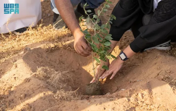 %d8%a7%d9%84%d8%ba%d8%b7%d8%a7%d8%a1 %d8%a7%d9%84%d9%86%d8%a8%d8%a7%d8%aa%d9%8a %d8%a7%d9%84%d8%b3%d8%b9%d9%88%d8%af%d9%8a %d9%8a%d8%b2%d8%b1%d8%b9 %d8%a3%d9%83%d8%ab%d8%b1 %d9%85%d9%86 20 %d9%85