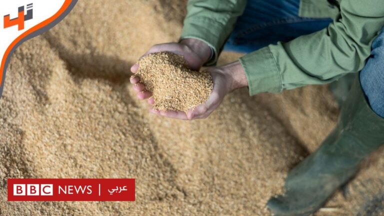 %d8%a5%d9%8a%d9%83%d9%88%d9%81%d9%8a%d8%af %d8%aa%d9%82%d9%86%d9%8a%d8%a9 %d9%84%d8%a5%d9%86%d8%aa%d8%a7%d8%ac %d8%b9%d9%84%d9%81 %d8%b7%d8%a8%d9%8a%d8%b9%d9%8a %d9%85%d9%86 %d9%85%d8%ae%d9%84%d9%81