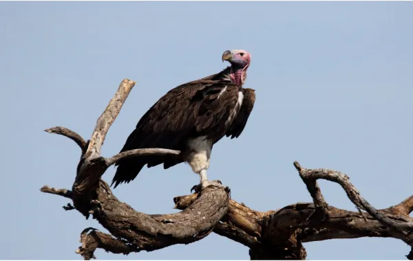 %d9%84%d8%a3%d9%88%d9%84 %d9%85%d8%b1%d8%a9 %d9%81%d9%8a %d8%a7%d9%84%d8%b4%d8%b1%d9%82 %d8%a7%d9%84%d8%a3%d9%88%d8%b3%d8%b7 %d8%aa%d9%88%d8%ab%d9%8a%d9%82 %d8%aa%d8%b9%d8%b4%d9%8a%d8%b4 %d9%86