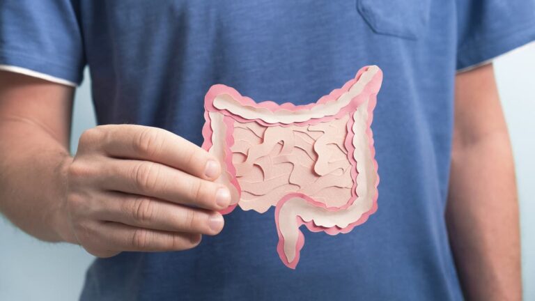 %d8%a3%d8%a8%d8%b1%d8%b2%d9%87%d8%a7 %d8%a7%d9%84%d8%a8%d8%b7%d9%8a%d8%ae %d9%88%d8%a7%d9%84%d8%a3%d9%86%d8%a7%d9%86%d8%a7%d8%b3 8 %d8%a3%d8%b7%d8%b9%d9%85%d8%a9 %d8%aa%d9%8f%d8%b9%d8%b2%d8%b2