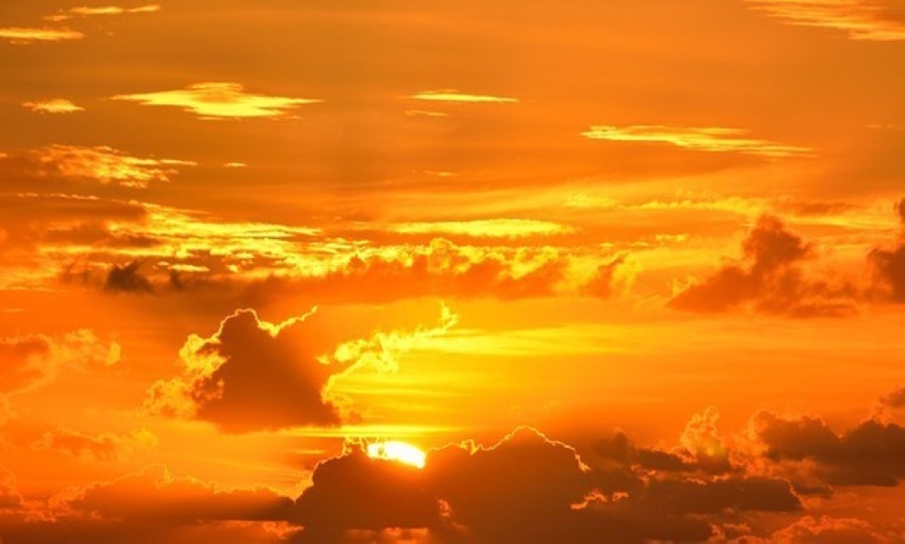 %d8%aa%d8%aa%d8%b5%d8%af%d8%b1%d9%87%d8%a7 %d8%a7%d9%84%d8%a3%d8%ad%d8%b3%d8%a7%d8%a1 %d9%88%d8%a7%d9%84%d8%af%d9%85%d8%a7%d9%85 %d9%82%d8%a7%d8%a6%d9%85%d8%a9 %d8%a3%d8%b9%d9%84%d9%89 %d8%af%d8%b1