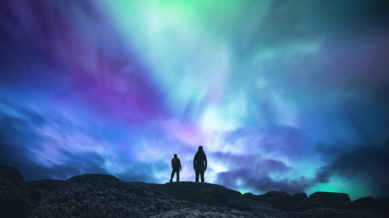 %d9%81%d8%b1%d8%b5%d8%a9 %d9%86%d8%a7%d8%af%d8%b1%d8%a9 %d9%84%d8%b1%d8%a4%d9%8a%d8%a9 %d8%a7%d9%84%d8%b4%d9%81%d9%82 %d8%a7%d9%84%d9%82%d8%b7%d8%a8%d9%8a %d9%81%d9%8a %d8%a3%d9%84%d9%85%d8%a7%d9%86