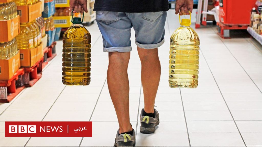 %d8%b2%d9%8a%d9%88%d8%aa %d8%a7%d9%84%d8%a8%d8%b0%d9%88%d8%b1 %d9%85%d8%a7 %d8%aa%d8%a3%d8%ab%d9%8a%d8%b1%d9%87%d8%a7 %d8%a7%d9%84%d9%81%d8%b9%d9%84%d9%8a %d8%b9%d9%84%d9%89 %d8%b5%d8%ad%d8%aa%d9%83