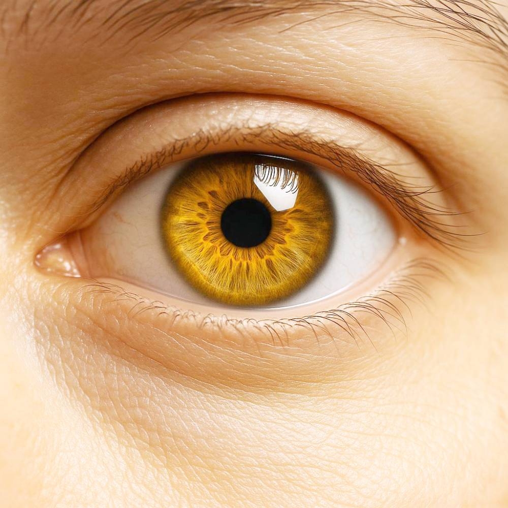 %d8%aa%d9%82%d9%86%d9%8a%d8%a9 %d8%aa%d8%b9%d9%8a%d8%af %d8%a7%d9%84%d8%a3%d9%85%d9%84 %d9%81%d9%8a %d8%a7%d8%b3%d8%aa%d8%b9%d8%a7%d8%af%d8%a9 %d8%a7%d9%84%d8%a8%d8%b5%d8%b1 %d8%b9%d8%a8%d8%b1 %d8%ac