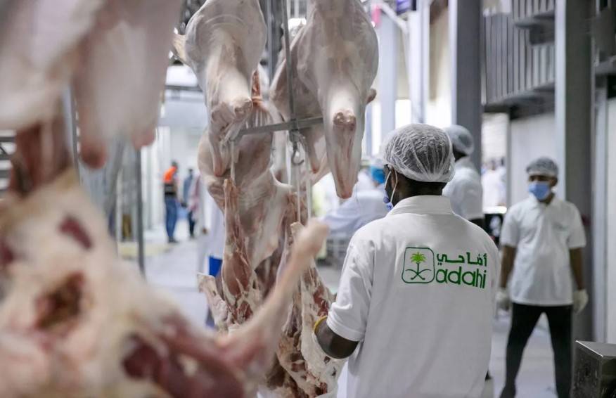 منظومة رقمية للهدي والأضاحي في السعودية .. و7 مجمعات تستوعب مليون رأس