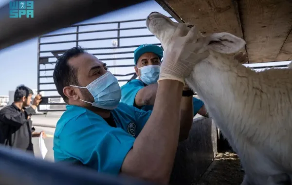 %d9%85%d8%b1%d9%83%d8%b2 %d9%88%d9%82%d8%a7%d8%a1 %d9%8a%d9%83%d8%b4%d9%81 %d8%b9%d9%86 %d8%a5%d8%ac%d9%85%d8%a7%d9%84%d9%8a %d8%a3%d8%b9%d8%af%d8%a7%d8%af %d8%a7%d9%84%d9%85%d8%a7%d8%b4%d9%8a%d8%a9