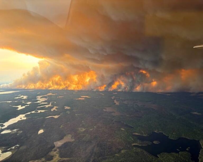 25 %d8%a3%d9%84%d9%81%d8%a7%d9%8b %d9%8a%d9%81%d8%b1%d9%91%d9%88%d9%86 %d9%85%d9%86 %d8%a7%d9%84%d9%86%d9%8a%d8%b1%d8%a7%d9%86 %d8%ad%d8%b1%d8%a7%d8%a6%d9%82 %d8%a7%d9%84%d8%ba%d8%a7%d8%a8%d8%a7