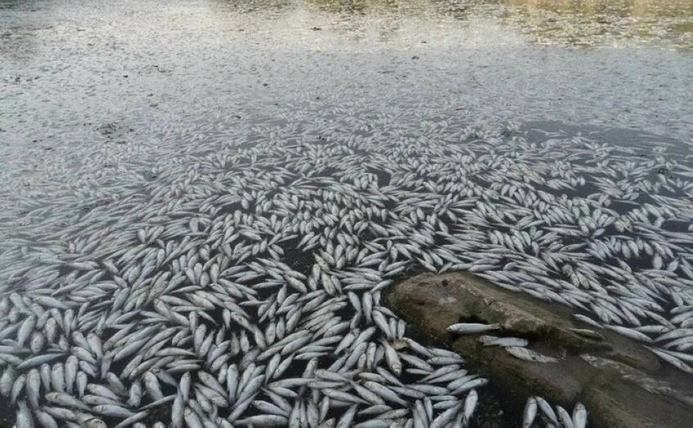 %d9%83%d8%a7%d8%b1%d8%ab%d8%a9 %d8%a8%d9%8a%d8%a6%d9%8a%d8%a9 %d8%aa%d9%87%d8%af%d8%af %d8%a7%d9%84%d8%b9%d8%b1%d8%a7%d9%82 %d9%86%d9%81%d9%88%d9%82 %d8%ac%d9%85%d8%a7%d8%b9%d9%8a %d9%84%d9%84%d8%a3