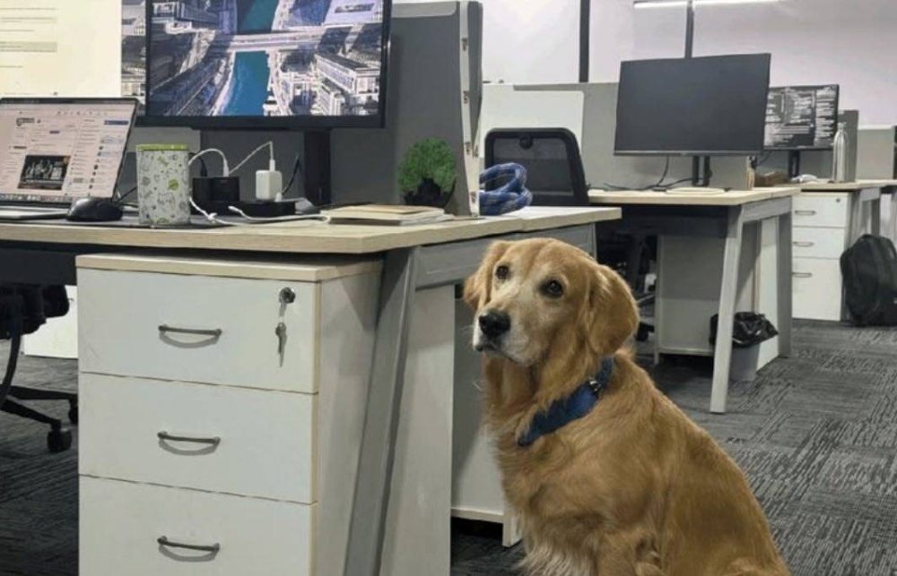 %d8%af%d9%8a%d9%86%d9%81%d8%b1 %d9%8a%d8%b3%d8%b1%d9%82 %d8%a7%d9%84%d9%82%d9%84%d9%88%d8%a8 %d8%b4%d8%b1%d9%83%d8%a9 %d9%87%d9%86%d8%af%d9%8a%d8%a9 %d8%aa%d8%b9%d9%8a%d9%91%d9%86