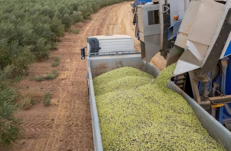 28 2 %d9%85%d9%84%d9%8a%d8%a7%d8%b1 %d8%b1%d9%8a%d8%a7%d9%84 %d9%82%d8%b1%d9%88%d8%b6 %d8%b2%d8%b1%d8%a7%d8%b9%d9%8a%d8%a9 %d8%ba%d9%8a%d8%b1 %d9%85%d8%ad%d8%b5%d9%84%d8%a9 %d9%81%d9%8a %d8%a7%d9%84