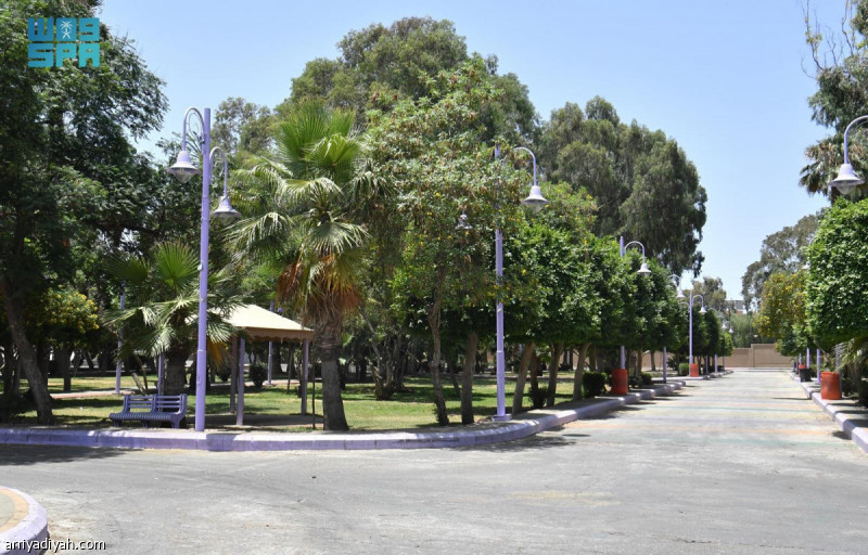 600 %d9%85%d8%aa%d9%86%d8%b2%d9%87 %d8%aa%d8%b3%d8%aa%d9%82%d8%a8%d9%84 %d8%b2%d9%88%d8%a7%d8%b1 %d8%b9%d8%b3%d9%8a%d8%b1 %d9%81%d9%8a %d8%a7%d9%84%d8%b9%d9%8a%d8%af