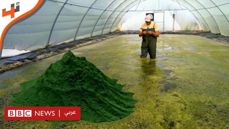 %d8%a8%d8%b1%d9%88%d8%aa%d9%8a%d9%86 %d8%a7%d9%84%d8%b7%d8%ad%d8%a7%d9%84%d8%a8 %d8%a5%d9%86%d8%aa%d8%a7%d8%ac %d9%85%d8%b3%d8%aa%d8%af%d8%a7%d9%85 %d8%a8%d8%a7%d8%b3%d8%aa%d8%ae%d8%af%d8%a7%d9%85