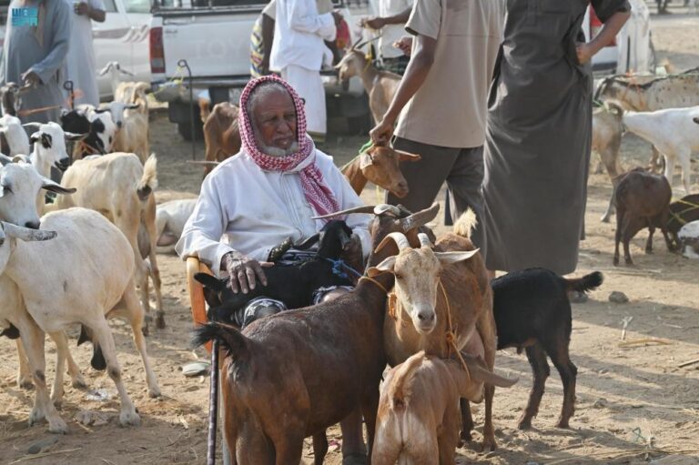 02abc453 3aa3 414e 8ad7 d8ac510f4789 file.jpg