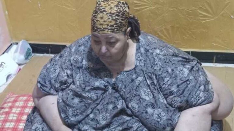 %d8%a7%d9%84%d8%ad%d8%a7%d8%ac%d8%a9 %d9%81%d8%a7%d8%b7%d9%85%d8%a9 %d8%b3%d8%ac%d9%8a%d9%86%d8%a9 %d8%ac%d8%b3%d8%af%d9%87%d8%a7 %d9%85%d9%86%d8%b0 15 %d8%b9%d8%a7%d9%85%d8%a7%d9%8b %d8%ad%d9%84
