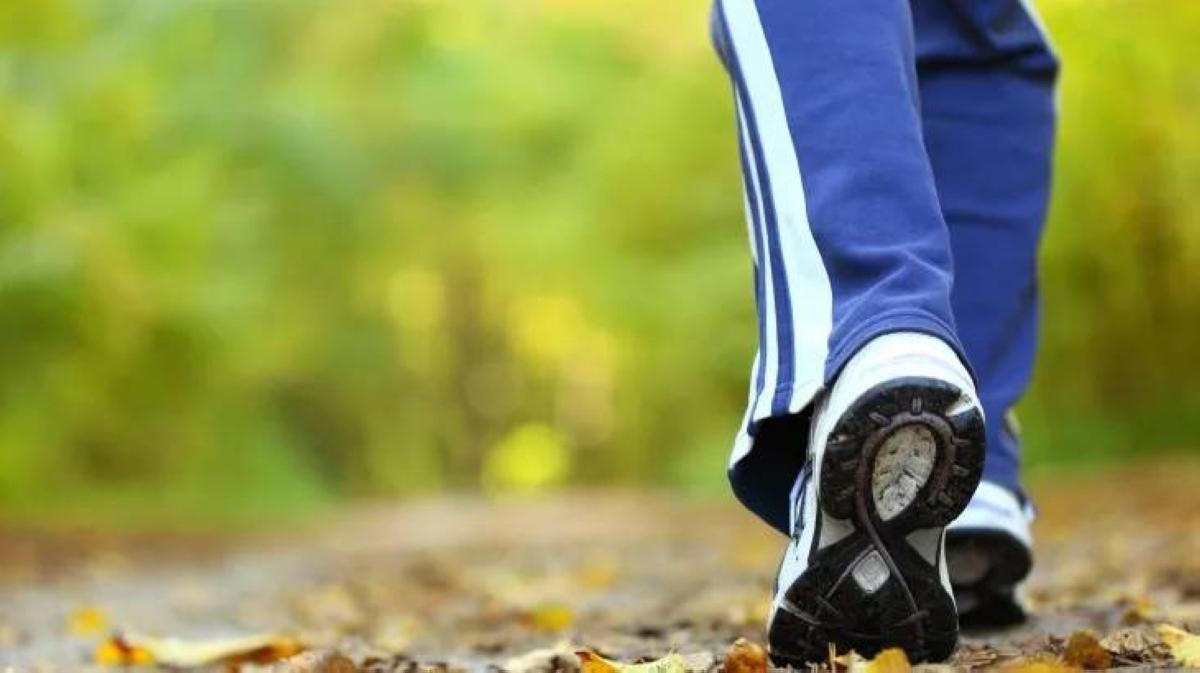 3b938333 8abd 417c 9d56 626ae0e0f091 file.jpg