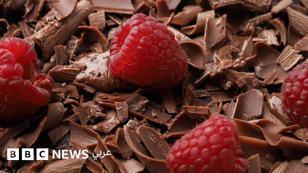 الشوكولاتة: من “طعام إلهي” إلى “مال ينمو على الأشجار”