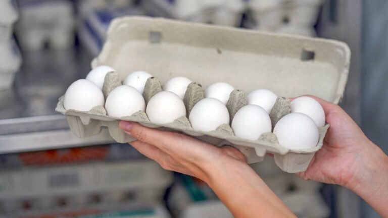 %d8%a7%d9%84%d8%a8%d9%8a%d8%b6 %d9%8a%d8%ab%d9%8a%d8%b1 %d8%a3%d8%b2%d9%85%d8%a9 %d9%82%d8%b6%d8%a7%d8%a6%d9%8a%d8%a9 %d8%a8%d9%8a%d9%86 %d8%a5%d8%af%d8%a7%d8%b1%d8%a9 %d8%aa%d8%b1%d9%85