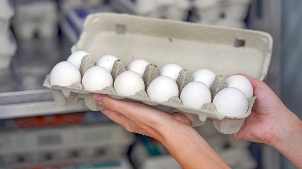 %d8%a7%d9%84%d8%a8%d9%8a%d8%b6 %d9%8a%d8%ab%d9%8a%d8%b1 %d8%a3%d8%b2%d9%85%d8%a9 %d9%82%d8%b6%d8%a7%d8%a6%d9%8a%d8%a9 %d8%a8%d9%8a%d9%86 %d8%a5%d8%af%d8%a7%d8%b1%d8%a9 %d8%aa%d8%b1%d9%85