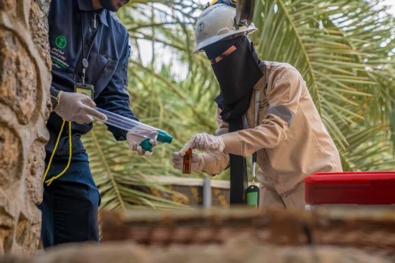 A5b39ae5 57f5 48c2 b572 4c9ec9cd1d2b file.jpg