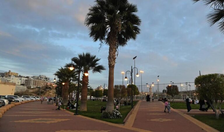B866e56d 4909 49e8 9830 b0d9730c1ef5 file.jpg
