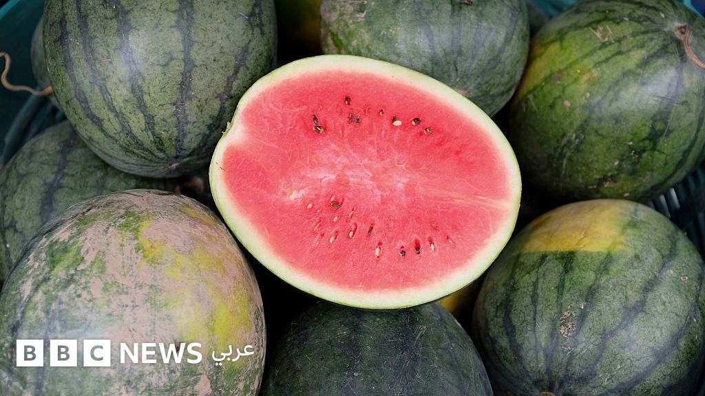 %d9%81%d9%8a%d8%b1%d9%88%d8%b3 %d8%b1%d9%88%d8%aa%d8%a7 %d9%85%d8%a7%d8%b0%d8%a7 %d9%86%d8%b9%d8%b1%d9%81 %d8%b9%d9%86%d9%87%d8%8c %d9%88%d9%87%d9%84 %d9%84%d9%84%d9%81%d9%88%d8%a7%d9%83%d9%87 %d8%b9