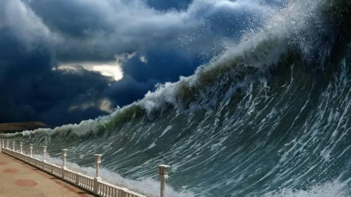 C8aa90b2 af6f 4fee b555 6b7fe0f50fa0 file.jpg