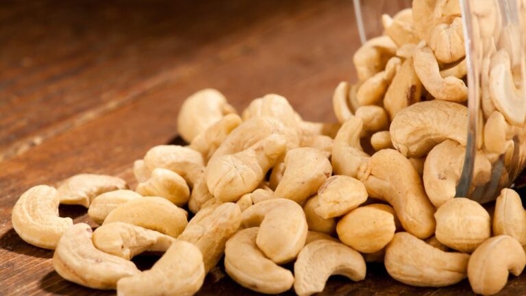 %d8%a8%d9%82%d8%a7%d9%8a%d8%a7 %d8%a7%d9%84%d9%83%d8%a7%d8%ac%d9%88 %d9%84%d9%86 %d8%aa%d8%b1%d9%85%d9%89 %d8%a8%d8%b9%d8%af %d8%a7%d9%84%d9%8a%d9%88%d9%85 %d8%aa%d8%ad%d8%af %d9%85%d9%86