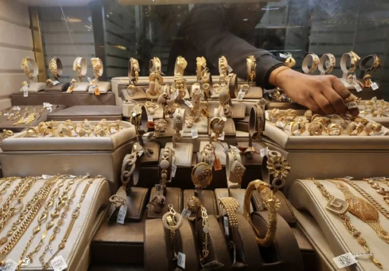 D7913229 cfe6 4423 8585 c37eb94edef4 file.webp