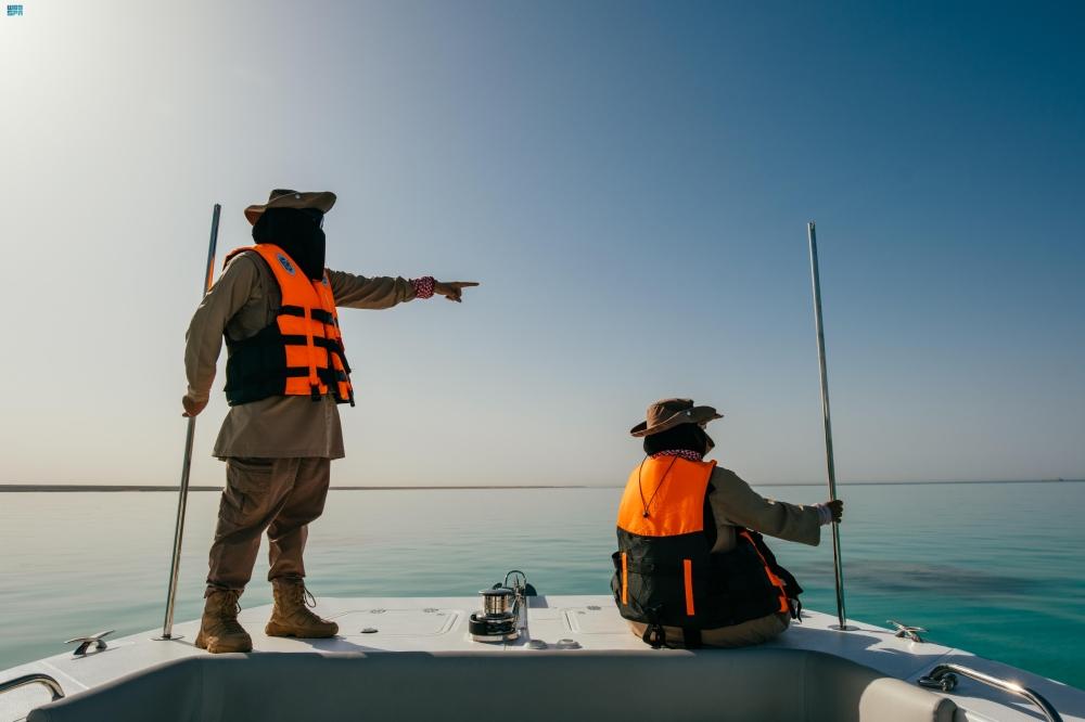 E71e530d 8a0d 431a bbf8 ebb6acaaf766 file.jpg