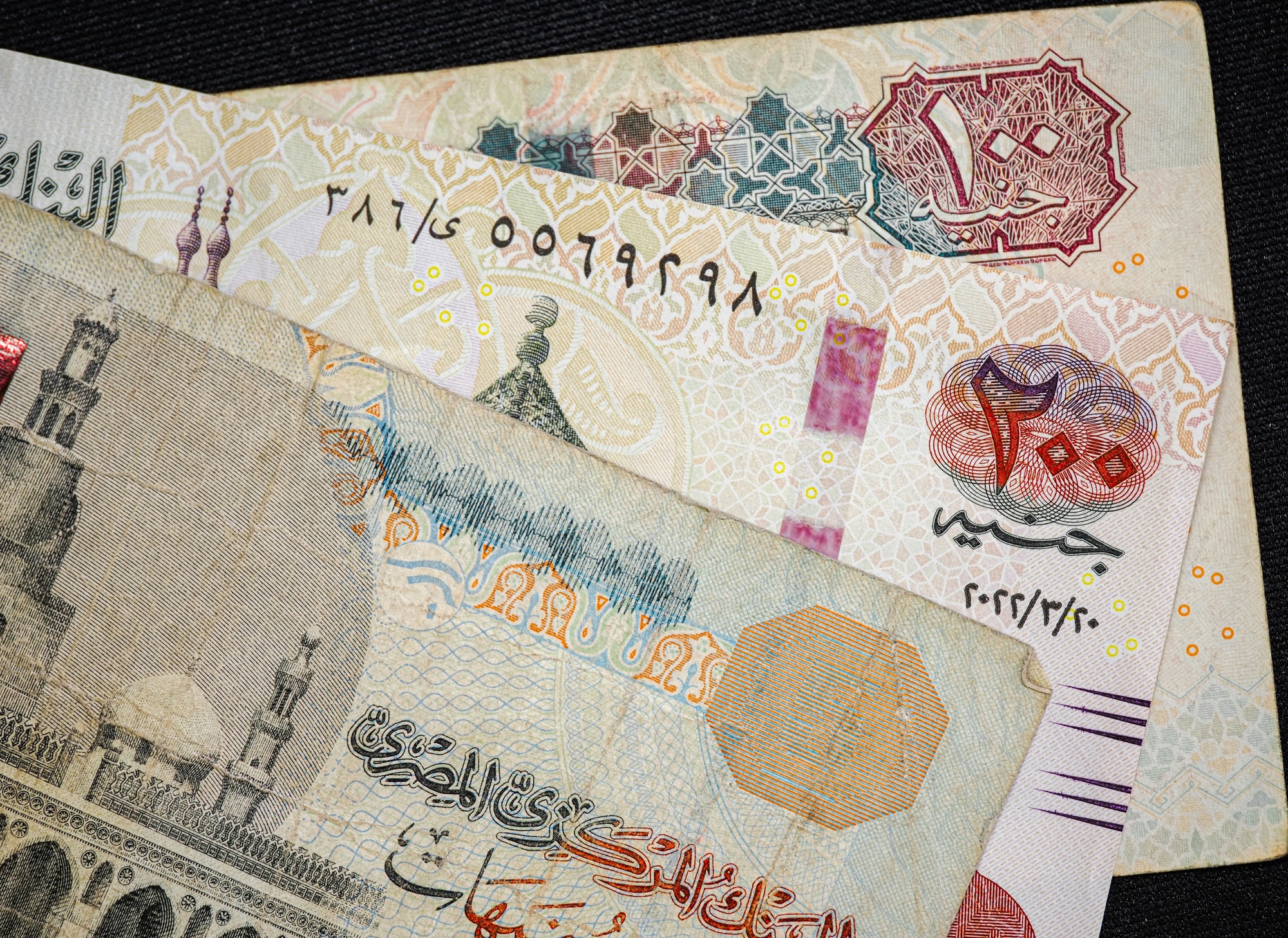 Mohamed marey mxvsr17bioa unsplash 2 1.jpg